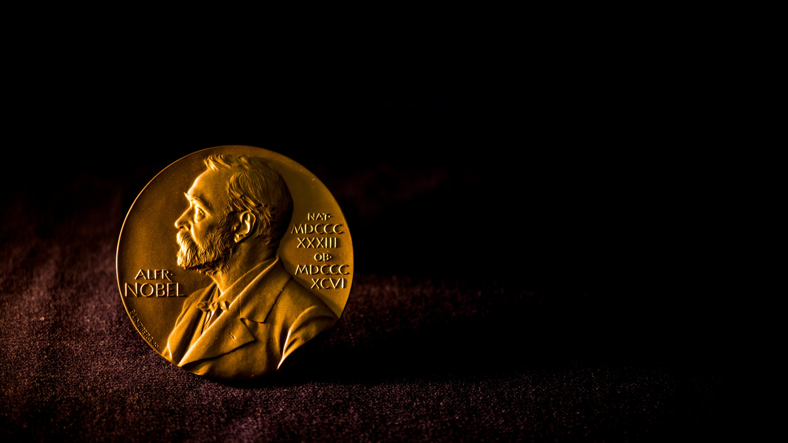 Nobel Medal (17)