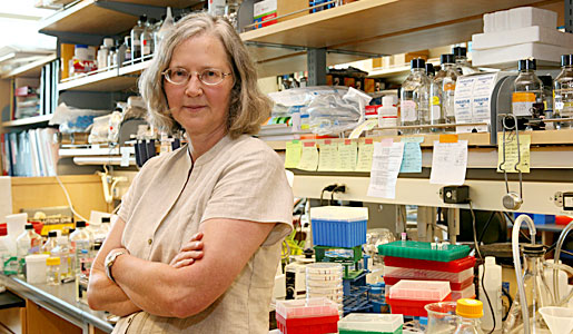 Elizabeth Blackburn in the lab