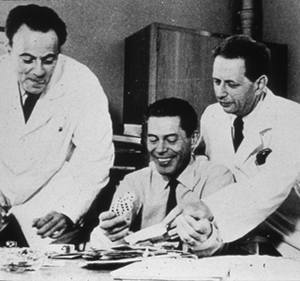 Nobel Medicine Laureates 1965